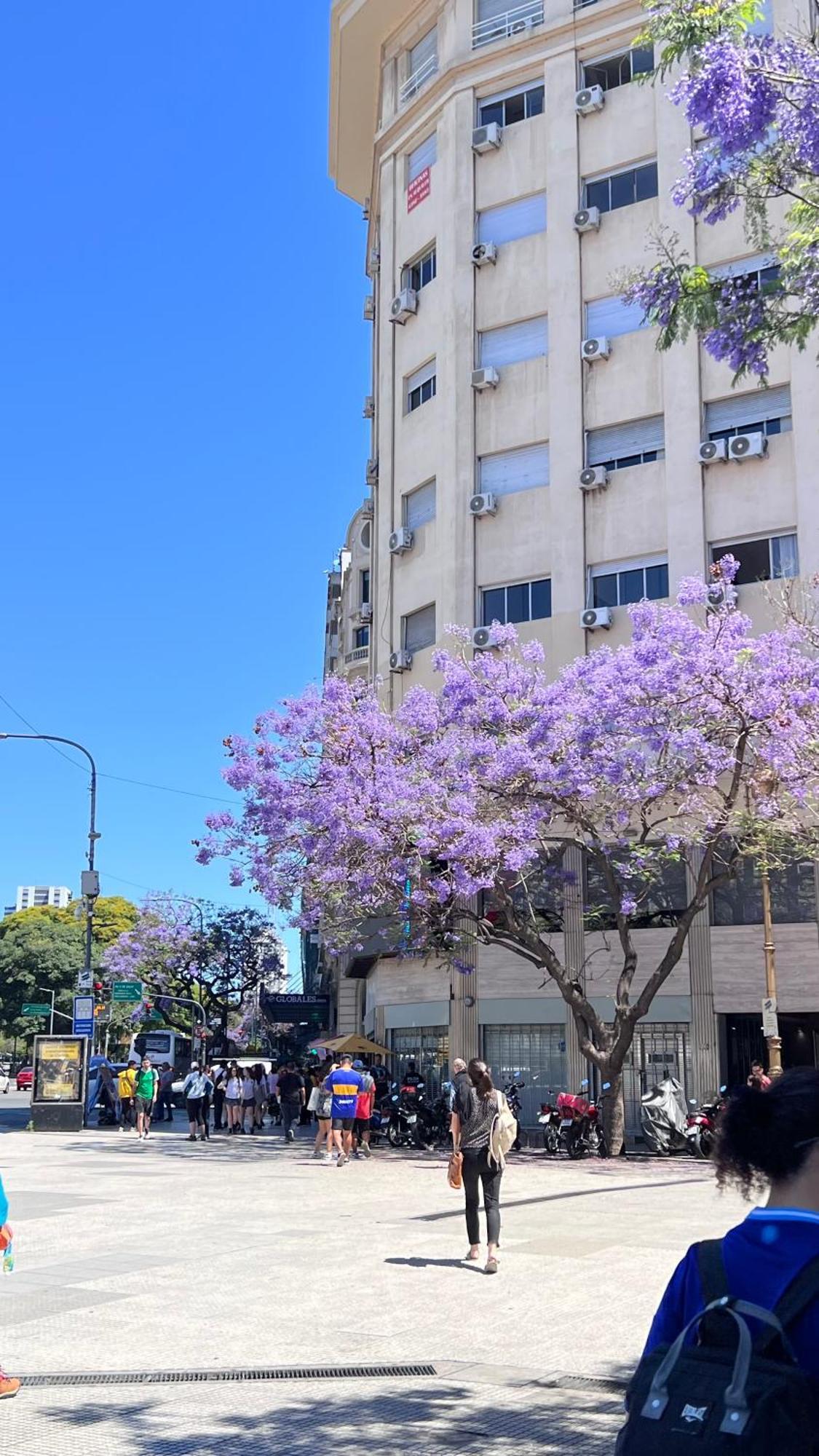 Loft Obelisco Lejlighed Buenos Aires Eksteriør billede